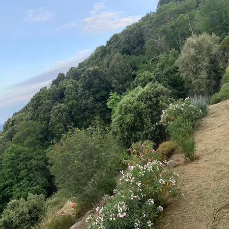 住宿加早餐酒店 La Maison De La Fontaine Cognocoli-Monticchi